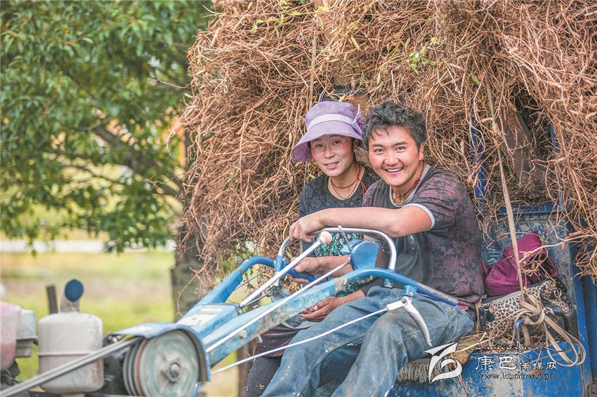 豐收的喜悅(康巴傳媒網(wǎng)首屆紀(jì)實攝影大賽)