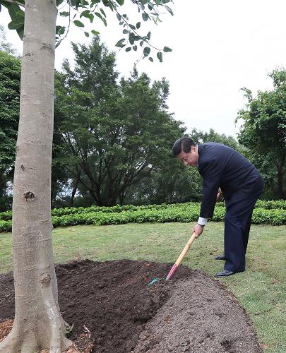 2012年12月7日至11日，習(xí)近平在廣東省考察工作。這是8日上午，習(xí)近平在深圳蓮花山公園種下一棵高山榕樹。新華社記者 蘭紅光 攝